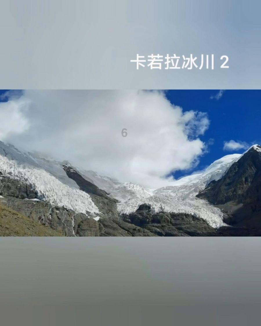 依靠创新驱动 加快“以竹代塑”推广应用